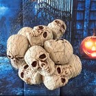 12pcs Skulls Human Head Skull Realistic Skeleton Skulls For Halloween Table D  c