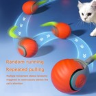 Smart Interactive Cat Toy - Speedy Tail 2 0 Automatic Moving Ball