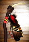 Native American Spirit   Talking Stick  Turkey 22 