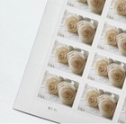 2011 Usps Forever Stamps Wedding White Roses 5 Sheets Of 20 sheet Total 100