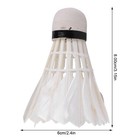 3pcs High Quality Badminton Shuttlecock Set