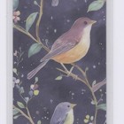 Cute Birds Aesthetic Bookmark For Books  Gift For Book Lovers  2x6  Laminated