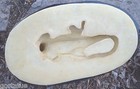 Latex Lizard Iguana Mold  With Plastic Backup   12 l X 6 5 w X 3 5  H