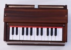 New Single Bellow 2 Octave Mini Bina Single Reeds 25 Keys Harmonium  With Bag