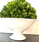 Antique French White Ironstone Porcelain Compote Bowl