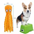 New Dog Squeaky Toys Durable Plush Toy For Puppy Large Small Dogs Pets Squeaker