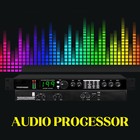 Pro Digital Reverb Multi Effect Dsp Processor Audio Equalizer Vocal Mic Us