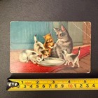 Vintage Kittens Drinking Milk Postcard Printed In Germany Cat Collectible Fair