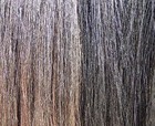 Tail Extension Natural Black 1lb 36 Inch By Kathys Tails