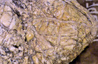 Dendritic Jasper Seam Agate  Solid Rough Lapidary Specimen  8 Lbs  14 Oz   r332