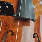 Violin Bridges Multifunctional Template 4 4 Violin Bridges Repair Reference Tool