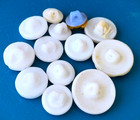 Vintage Glass Picture Buttons