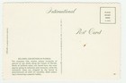 Vintage Postcard Sea Shells Paradise Florida Unused Continental Card