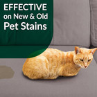 128 Oz  Cat Pet Stain And Odor Remover