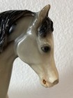 Breyer Traditional - Fleck Glossy Gray Appaloosa Family Arabian Stallion