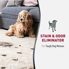 Natures Miracle Advanced Dog Stain   Odor Eliminator  Severe Mess  32 Oz