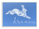 Stupell Home D  cor Dreamer Cloud Bunny Wall Plaque Art  10 X 0 5 X 15