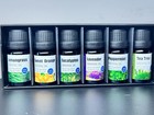 Essential Oil Set Lemongrass Sweet Orange Eucalyptus Lavender Peppermint Tea
