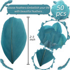 50 Pcs Peacock Blue Dyed Feathers Natural Goose Feathers Bulk  2-3 Inch Craft Fe