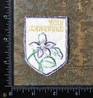 Vintage New Brunswick Purple Violet Flower Canada Travel Souvenir Patch