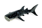 12 6    32cm Whale Shark Fish Pvc Toy Ocean Sea Animal Figure Kids Gift