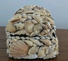 Seashell Hinged Trinket Jewelry Box 8x5x5 Nautical Folk Art Sailors Valentine