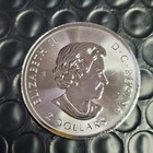 2018 Canada Polar Bear 1 2 Oz  9999 Silver  2 Coin