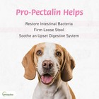 Pro-pectalin Oral Paste For Dogs   Cats - Diarrhea Relief W  Kaolin  Pectin   Pr