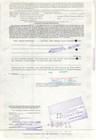 International Telephone   Telegraph - Original Stock Certificate - 1977 - Pk4648