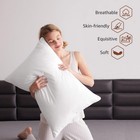 Goose Feathers And Down Pillow  Bed Pillow Standard Size Set Of 1