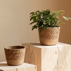 Rustic Style Flower Basket Vintage Rattan Woven Plant Basket For Living Home