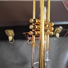 Professional Gold-plated Heavy-duty Trumpet     Model 8335gs  With Case