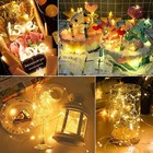 Led String Lights Battery Powered Xmas Copper Wire Lights Wedding Party W remote