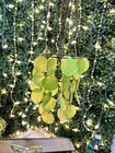 Eclectic Mixed Lot Of Green  Color Home Decor