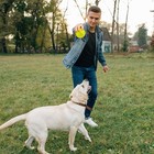 3 5    Squeaky Dog Toy Balls  6 Colors  - Puppy Chew Toy For Medium  Large   Small