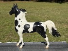 Breyer Pinto Tobiano American Saddlebred Stallion