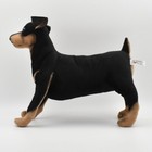 Hansa Pincher 43 Bh3877 New Realistic Plush Animals From Japan