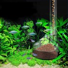 Acrylic Aquarium Feeder Tube Dish Transparent Fish Tank Shrimp Snail Shrimp Food