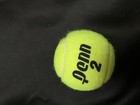 Amanda Anisimova Signed Penn Tennis Ball