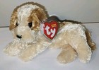 St  Ty Beanie Baby        Banjo The Dog  7 Inch  Mwmts Plush Stuffed Animal Toy