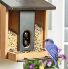 Evergreen Solar Smart Bird Feeder With 1080p Hd Wifi Camera