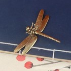 Dragonfly Brass Cooper Figurines Miniatures Tabletops Statues Home Decor 5x7 Cm