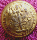 Non Dug Civil War Confederate South Carolina State Seal Vest Button