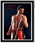 Queen Bohemian Rhapsody Gold 45 Award   2 Framed Items Pictured