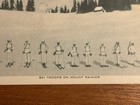 Ski Troops Mt  Rainier Postcard Nostalgic Americana World War 2 Washington State