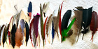Vintage Assorted Feather 50  Lot Millinery Hat Fascinator s