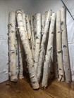 Natural Birch Pole Bundle Of 20 See Description For D t Rustic Farmhouse D  cor
