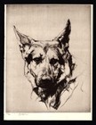 Antique German Shepherd Print 1930s Malcolm Nicholson Art Illustration 6605e