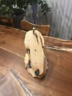 European Deer Skull Mount Plaque  Maple And Walnut With Turquoise Resin Accents