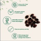 Micro Ingredients Astaxanthin 12mg  120 Softgels  Tanning Pills  Strength